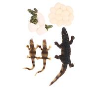 IMIKEYA 1 Ensemble Jouets De Cycle De Croissance des Les Enfants Reconnaissent Le Mini-Animal Marin Modèle De Créature Océanique De Simulation Animal Océan Plastique