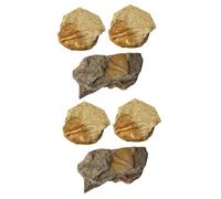 IMIKEYA 2 Ensembles Kit De Fossiles De Trilobite Statues Éducatives Naturelle Pour Décoration Et Apprentissage Collections Paléontologie 3 Pièces * 2
