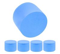 IMIKEYA 5pièces Outil De Soin des Fourmis Éponges Filtrantes pour Fourmilière Kit De Soin pour Fourmis Accessoires De Filtre Éponge pour Nid De Fournitures Éducatives