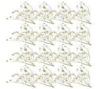 IMIKEYA Bouquet de Fleurs Séchées Naturelles Gypsophile en Matériau Synthétique, 80 Branches Faciles à Entretenir, Décoration pour Mariage et Graduation