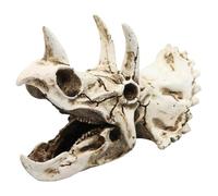 IMIKEYA Décoration De Crâne De Dinosaure en Résine Triceratops pour Aquarium - Ornement Artificiel pour Reptiles - Cachette Naturelle Et Décor De Paysage Aquatique Taille Réaliste