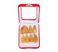 IMIKEYA Faux Ongles Protecteurs pour Guzheng en Corne de Bœuf, Accessoires de Protection des Doigts, Ensemble Pratique pour Instruments à Cordes, Taille Moyenne Couleur Couleur Aléatoire