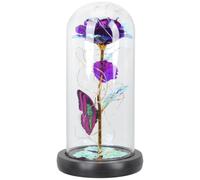 IMIKEYA Fleur Éternelle sous Cloche en Verre, Rose Préservée, Plastique et Verre, Décoration, Présent Saint-Valentin, pour Femme et Petite Amie, Bureau, Anniversaire