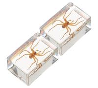 IMIKEYA Lot de 2 Presse-papiers en Résine Transparente Ambrée Spécimens D’insectes Poilus, Décoration de Bureau Artistique Multifonctionnelle pour Maison et Éducation Scientifique,