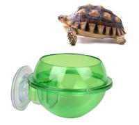 IMIKEYA Mangeoire pour Reptiles avec Ventouse Bol De Nourriture Et Abreuvoir pour Lézard Tortue Et Petit Animal