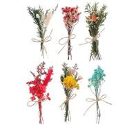 IMIKEYA Mini Bouquet 6 Fleurs séchées Naturelles pour Mariage et décoration intérieure Style élégant Frais