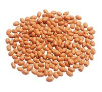 IMIKEYA Modèle de Cacahuète Artificielle 200g en PVC, Marron, Réaliste et Résistante, pour Décoration, Accessoires de Film et Enseignement