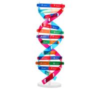 IMIKEYA Modèle Éducatif Double Hélice d'Adn à Assembler Kit Pédagogique Interactif pour Garçon et Filles Favorise la Pensée Critique Outil d'apprentissage Scientifique et Génétique