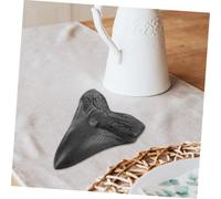 IMIKEYA Réplique Réaliste Dent de Mégalodon Géante Décoration Fossile pour Collection et Enseignement Paléontologie Ornements Animaux