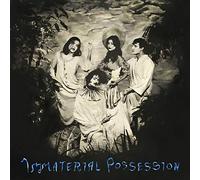 Immaterial Possession