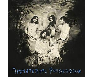 Immaterial Possession