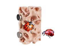 Immersive Natural Setting : Designed with a natural réaliste appearance, this reptile habitat sert as miniature nature art that integres smoothly into habitats, enhancing the enclosure aesthetical