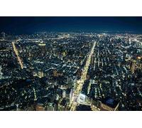 Immeubles de Grande Hauteur la Nuit - Puzzle Classique de 1000 pièces pour Adultes, idéal pour Les Jeux éducatifs en Famille (14 Ans et Plus)