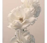 Imminence - Turn the Light on:Acoustic Reimagination