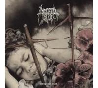 Immortal Bird - Immortal Bird-Sin Querencia
