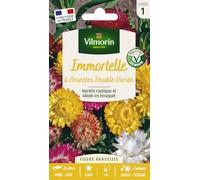 Immortelle à Bractées Double Variée