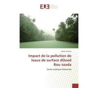 Impact de la pollution de leaux de surface dOued Bou saada - Sabah Hachimi - Universitaires Europeennes - broché - Essai