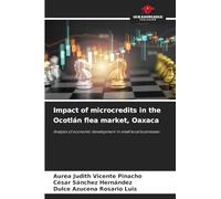Impact of microcredits in the Ocotlán flea market, Oaxaca