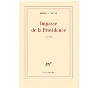 Impasse de la Providence/Jours de fête Suivi de Jours de fête - Shmuel T. Meyer - Gallimard - broché - Roman