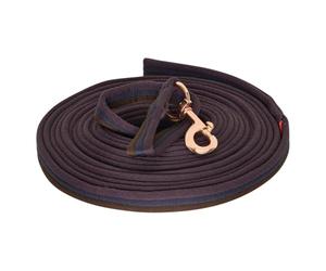 Imperial Riding IRHExtra Longe en Nylon Bordeaux 7,8 m x 2,5 cm