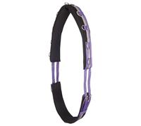 Imperial Riding Laisse « IRH Deluxe » en Polyester avec Doublure en néoprène et Anneaux en métal, Violet Roi, COB