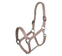 Imperial Riding Licol de Sport Classique en Nylon Durable, Doux rembourré avec néoprène, réglable, avec Mousqueton et raccords de Luxe Or Rose/Or, Licol Confortable pour Cheval, Cappuccino, COB