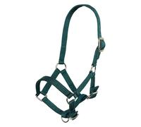 Imperial Riding Licol pour Poulain - Licol en Nylon réglable sur 3 Positions pour Poulain avec Sangle de 20 mm de Largeur et ferrures en Nickel, Durable et sûr, Vert forêt