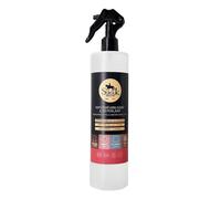 SOFOLK - Imperméabilisant Extrême | Spray hydrofuge | Idéal pour la Protection de toutes surfaces : Cuir, Tissu, Nubuck, Chaussures, Baskets, Canapés, Sac, Vestes, Blouson