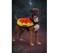 Impermeable Chien - Gilet sécurité LED Simi Fluo Orange 50 cm - réfléchissant - Batterie Rechargeable