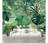 Imperméable,Inodore intérieure Papier Peint 350x256 cm Feuilles De Palmier Monstera Deliciosa Amovible Fresque Murale décorer Papier Peint Photo Vert Pour Meuble Salon Salle Bain Chambre Armoire