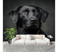 Imperméable,Inodore intérieure Papier Peint 400x280 cm Animaux Labrador Retriever Portrait Amovible Fresque Murale décorer Papier Peint Photo noir Pour Meuble Salon Salle Bain Chambre Armoire