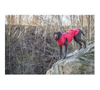 Imperméable pour chien - Trixie - Vimy - Rouge/Noir - Polyuréthane/Polyester - Étanche