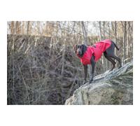 Imperméable pour chien Trixie Vimy Rouge XS