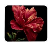 Imperméable Tapis de Souris de Jeu Fleur d'hibiscus Gaming Mousepad Mousepad 25x30cm pour Jeux,Les capteurs de Jeu,Souris