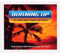 Import - Burning Up-Ultimate Guide to M