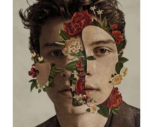 Importcds Shawn Mendes Cd Pop Rock