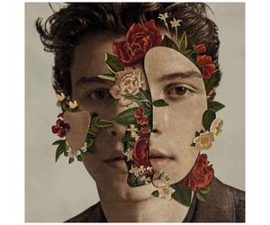 Importcds Shawn Mendes Cd Pop Rock