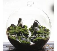 Importées 200 Pcs Graines de mousse d'Irlande, Sagina Subulata vert Graines Moss beau jardin Creative Garniture végétale, usine Diy Livraison gratuite 19