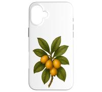 Impression Artistique Vintage Botanical Loquat Nature Fruit Coque pour iPhone 16 Plus