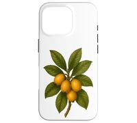 Impression Artistique Vintage Botanical Loquat Nature Fruit Coque pour iPhone 16 Pro