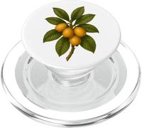 Impression Artistique Vintage Botanical Loquat Nature Fruit PopSockets PopGrip pour MagSafe