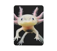Impression Axolotl, Autocollant magnétique rectangulaire pour réfrigérateur, aimants magnétiques Doux pour réfrigérateur, 1 pièce