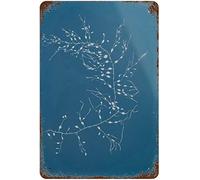 Impression d'algues de type cyano - Affiche en étain - Décoration botanique - Art nautique - Plante - Art nautique - Art de jardin - 20,3 x 30,5 cm
