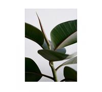 Impression d'art Green Home 02 30x40cm WxH 30x40cm