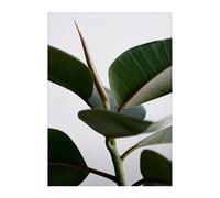 Impression d'art Green Home 02 50x70cm WxH 50x70cm