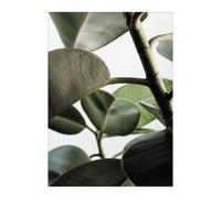 Impression d'art Green Home 03 50x70cm WxH 50x70cm