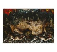 Impression d'art haute définition sur toile - David Alfaro Siqueiros - collectif - 76,2 x 101,6 cm | Artistique pour pendaison de crémaillère, bureau ou chambre à coucher | Décoration élégante