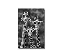 Impression d'art Noir et Blanc Animaux Peinture sur Toile girafes drôles Affiches et Impressions Mur Art Photo pour Salon décor à la Maison 30X40 cm sans Cadre