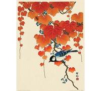 Impression d'art Ohara Koson Bird and Red Ivy 40 cm x 30 cm G