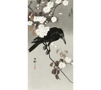Impression d'art Ohara Koson Crow And Cherry Blossom 40 cm x 20 cm G